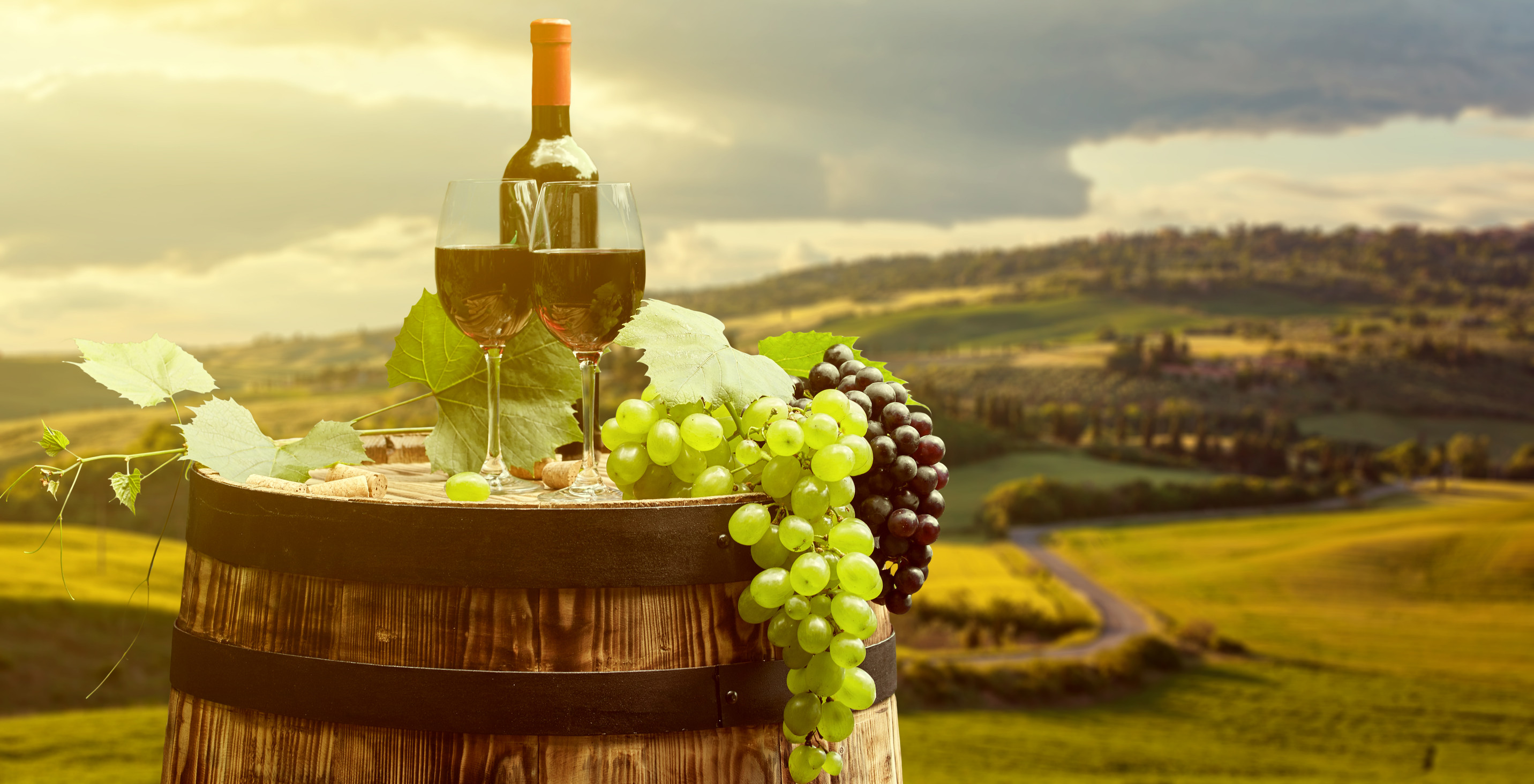 Chianti Siena tour